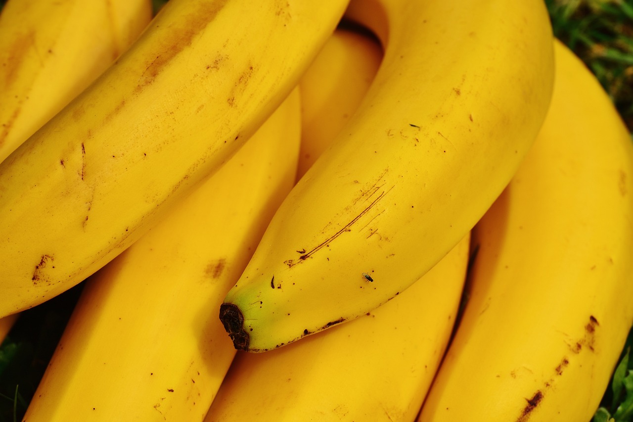 bananas-1642699-1280.jpg