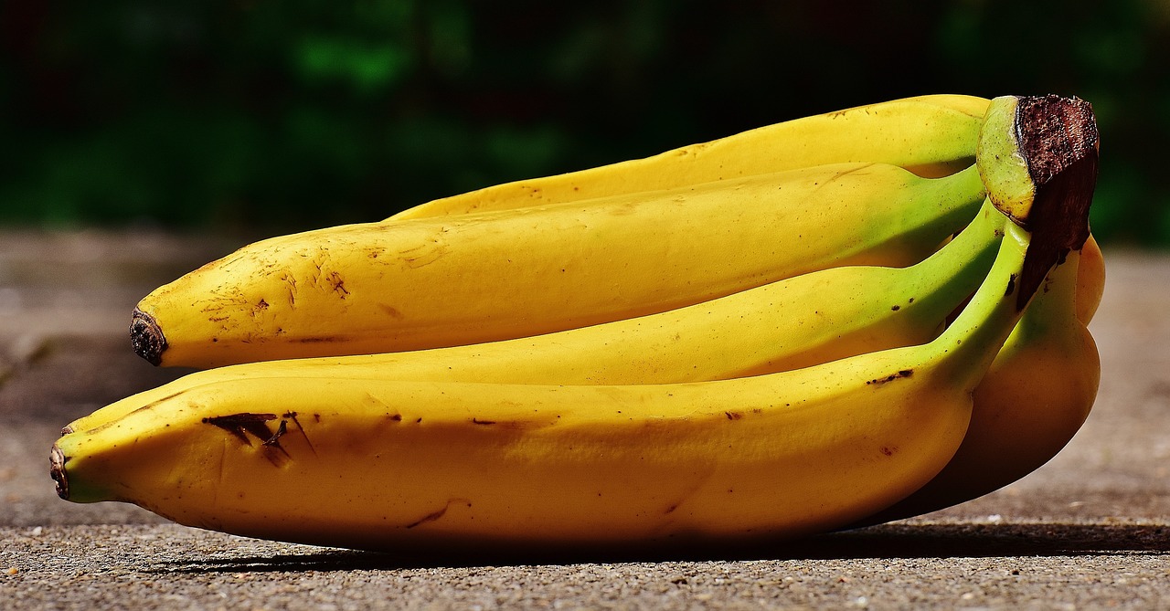 bananas-1646543-1280.jpg