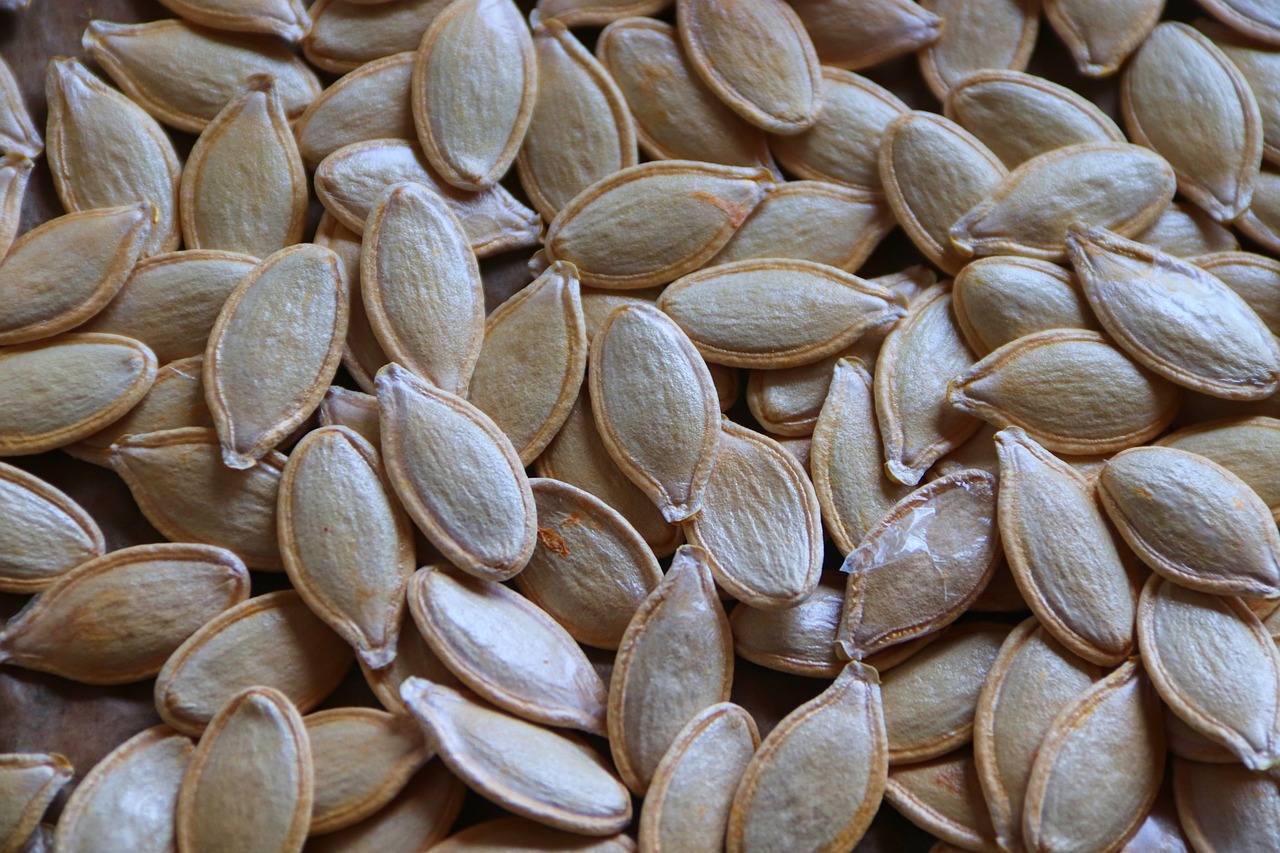 pumpkin-seeds-4748352-1280.jpg