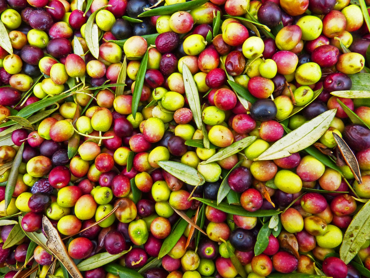 olives-1119500-1280.jpg