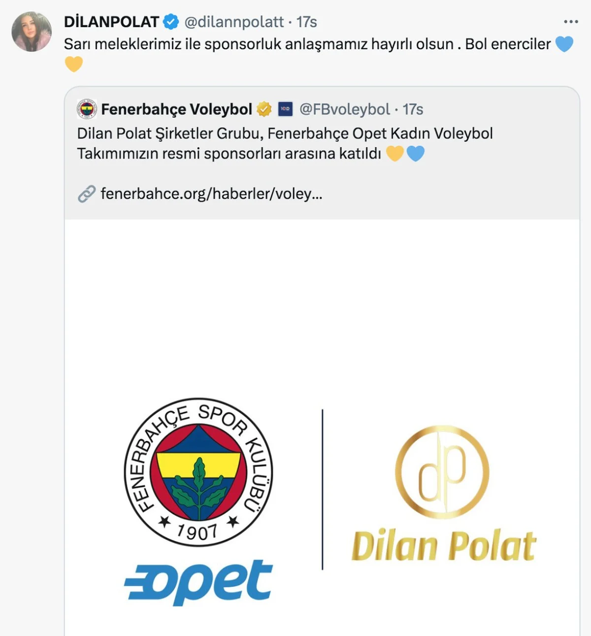 dilan-polat-fenerbahceye-sponsor-oldu-sosyal-medya-yikildi-enerci-ge-c7b6f347.webp
