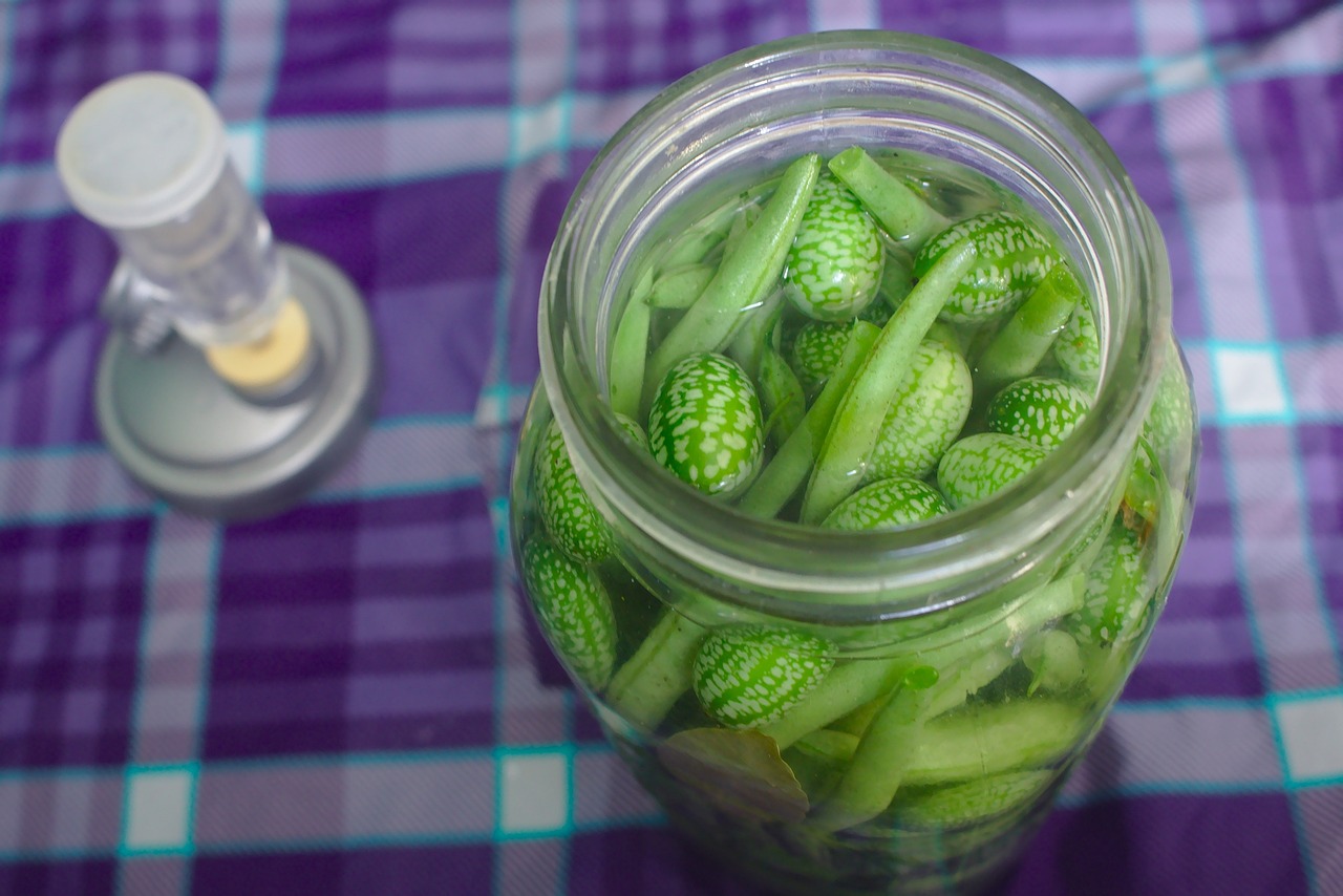 lacto-fermentation-861551-1280.jpg