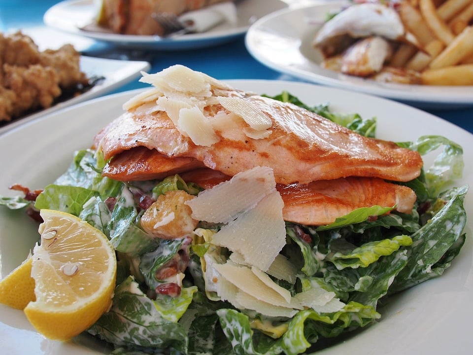 salmon-522483-960-720.jpg