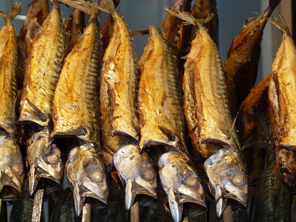 smoked-fish-61621-960-720.jpg