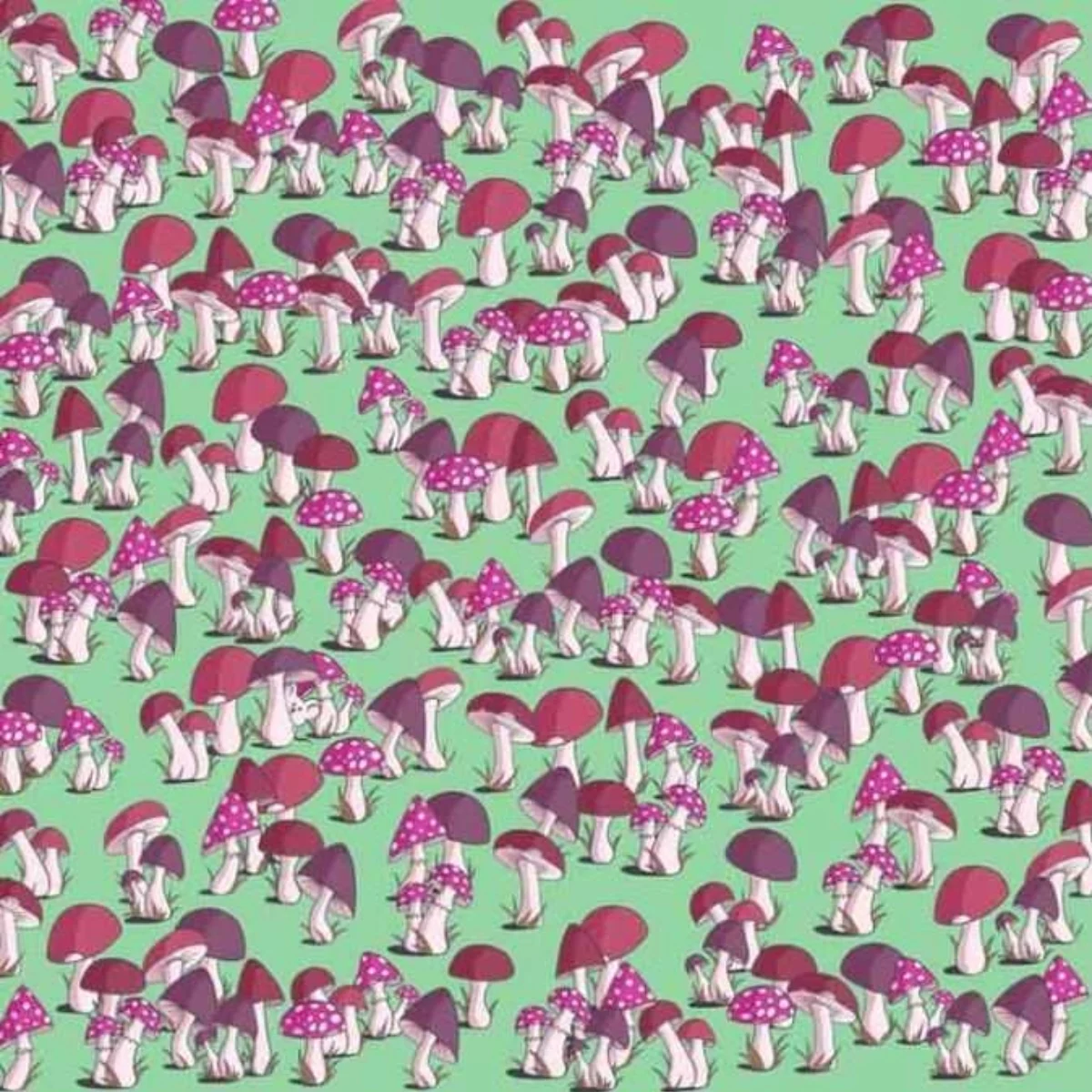 1-003.webp