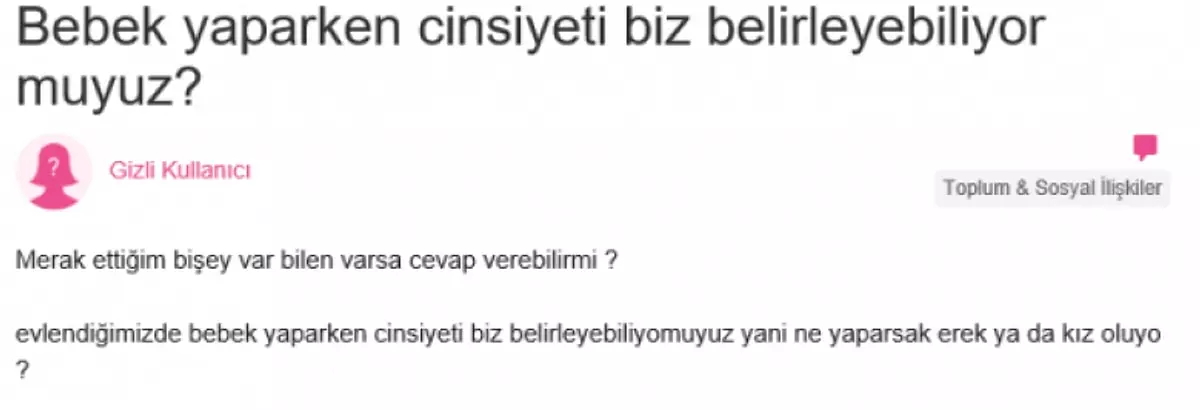 7.webp