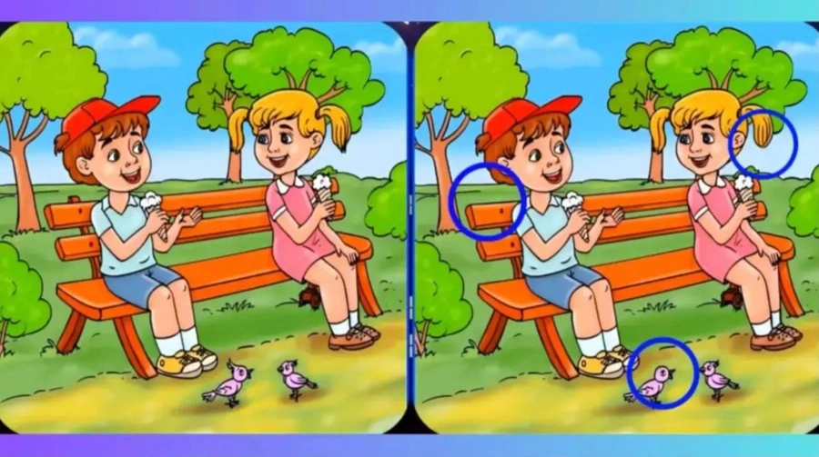 5-h083.webp