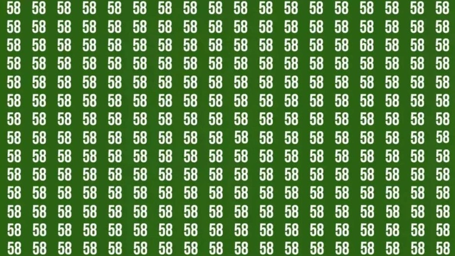 x1-msbt.webp