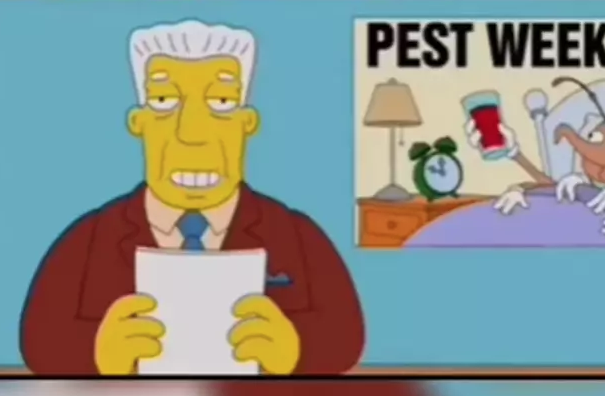 11.png