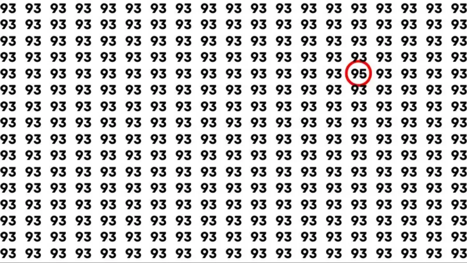 95-sjjx.webp