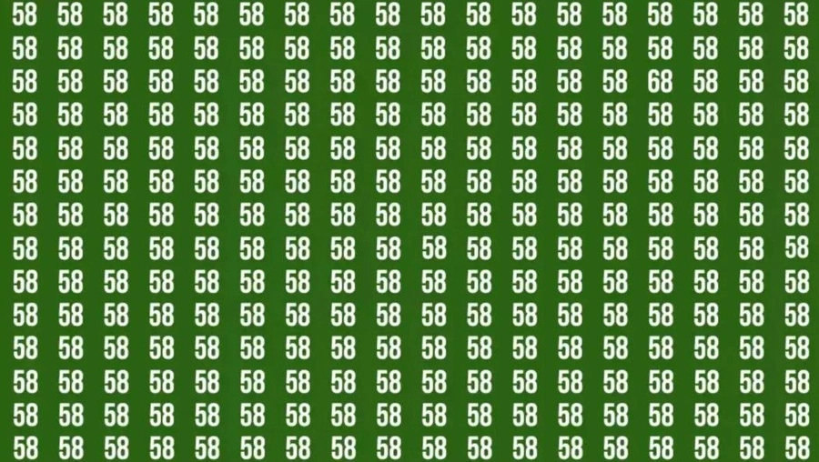 x1-msbt.webp