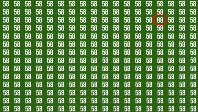 x2-npy1.webp