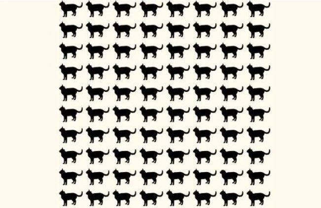 p1-uymj.webp