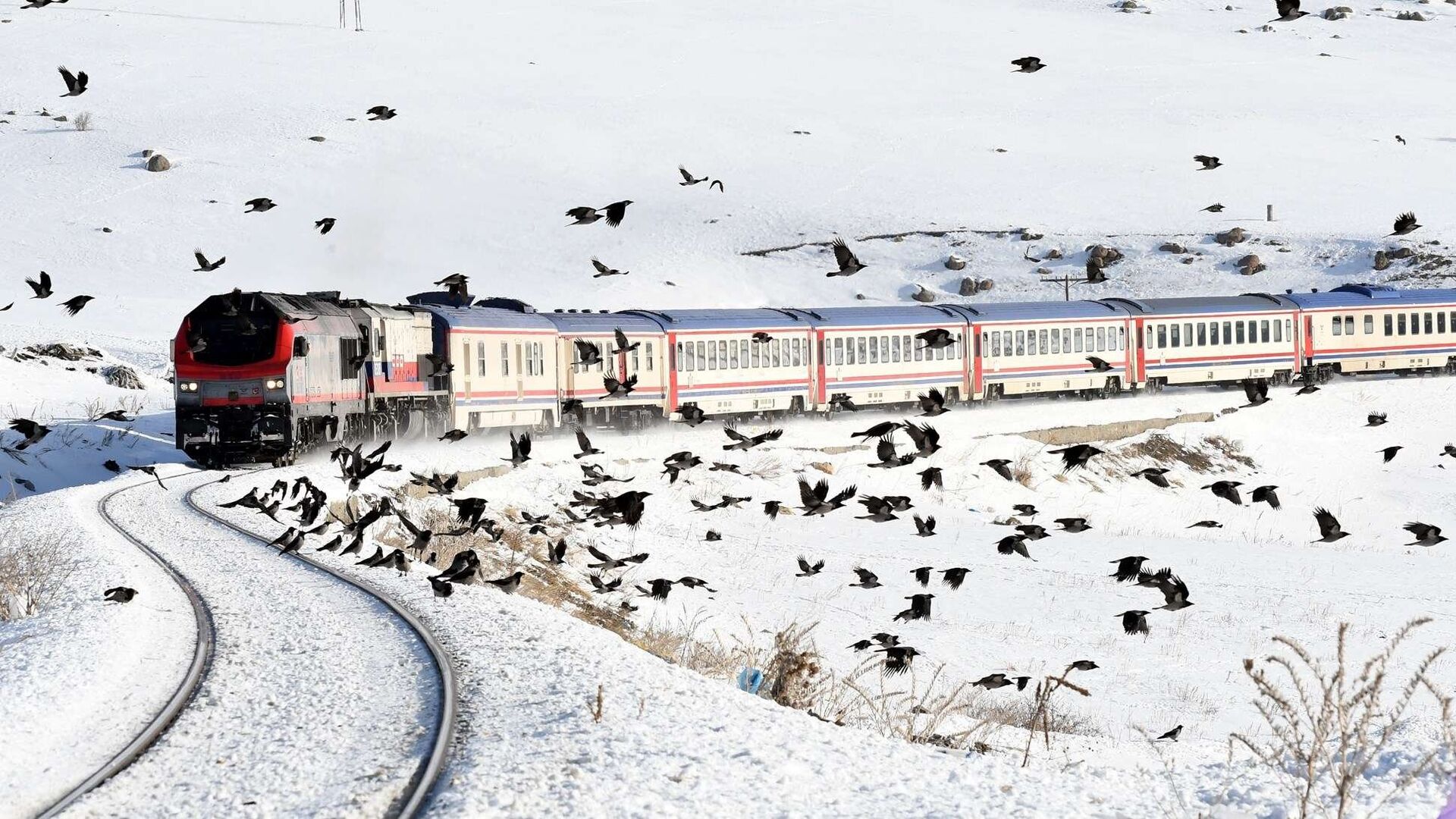 tren-turu-6.jpg