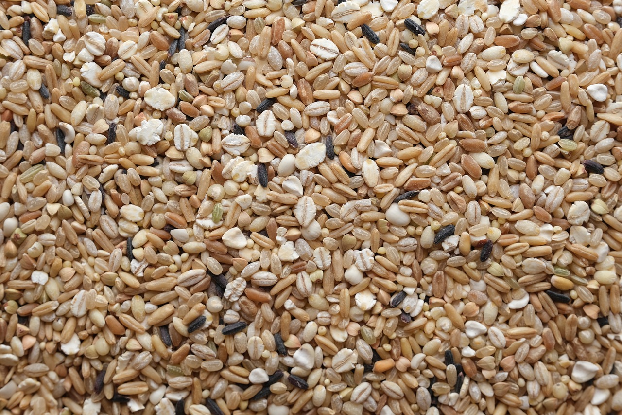 five-grain-rice-4995081-1280.jpg