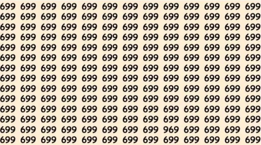 a1-ne5m.webp