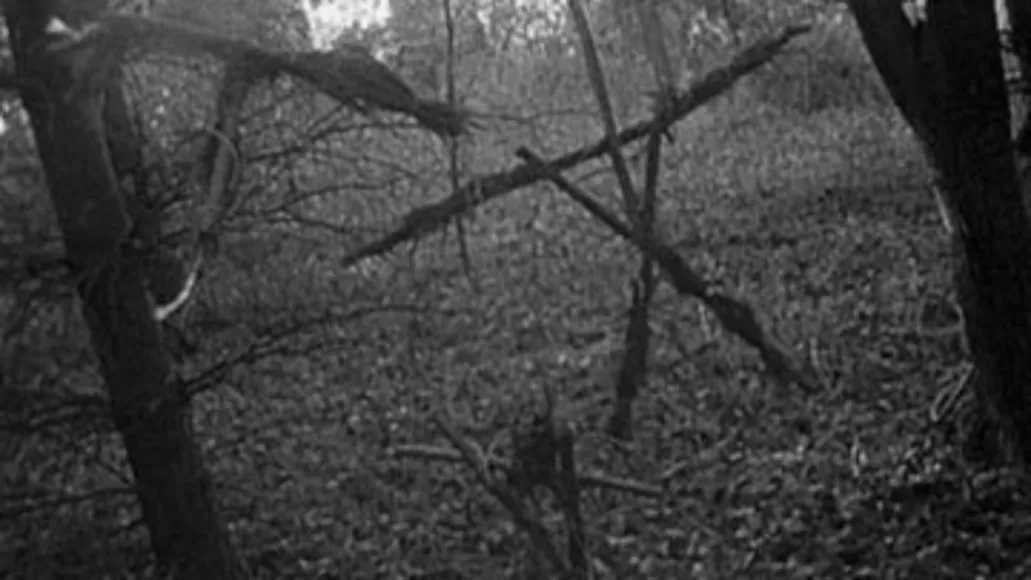 blair-witch-project.webp