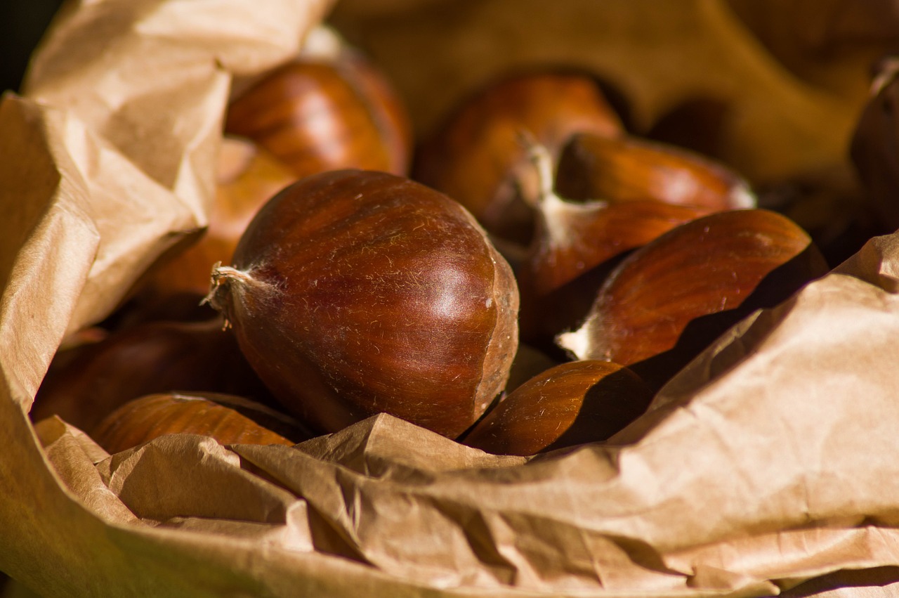chestnuts-6773857-1280.jpg