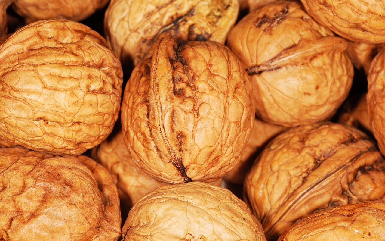 walnuts-101462-1280.jpg