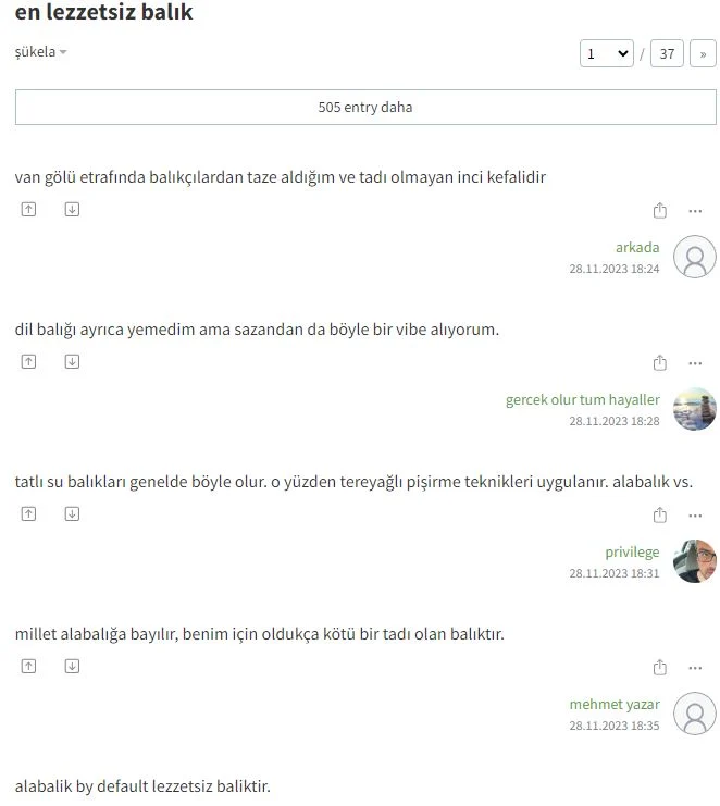 11.webp