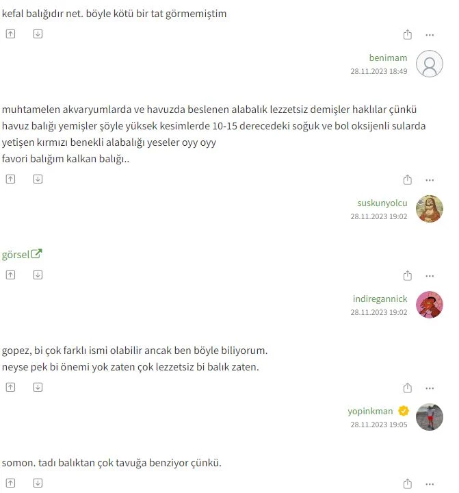 3.webp