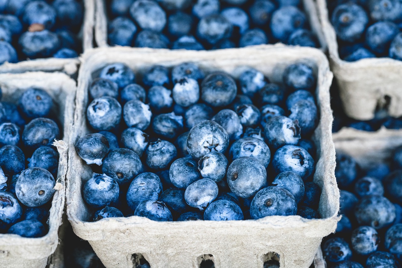 blueberries-1326154-1280.jpg