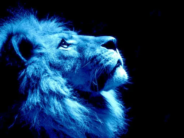leo2.webp