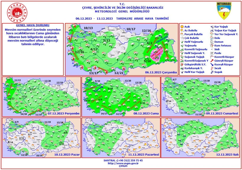 11.webp