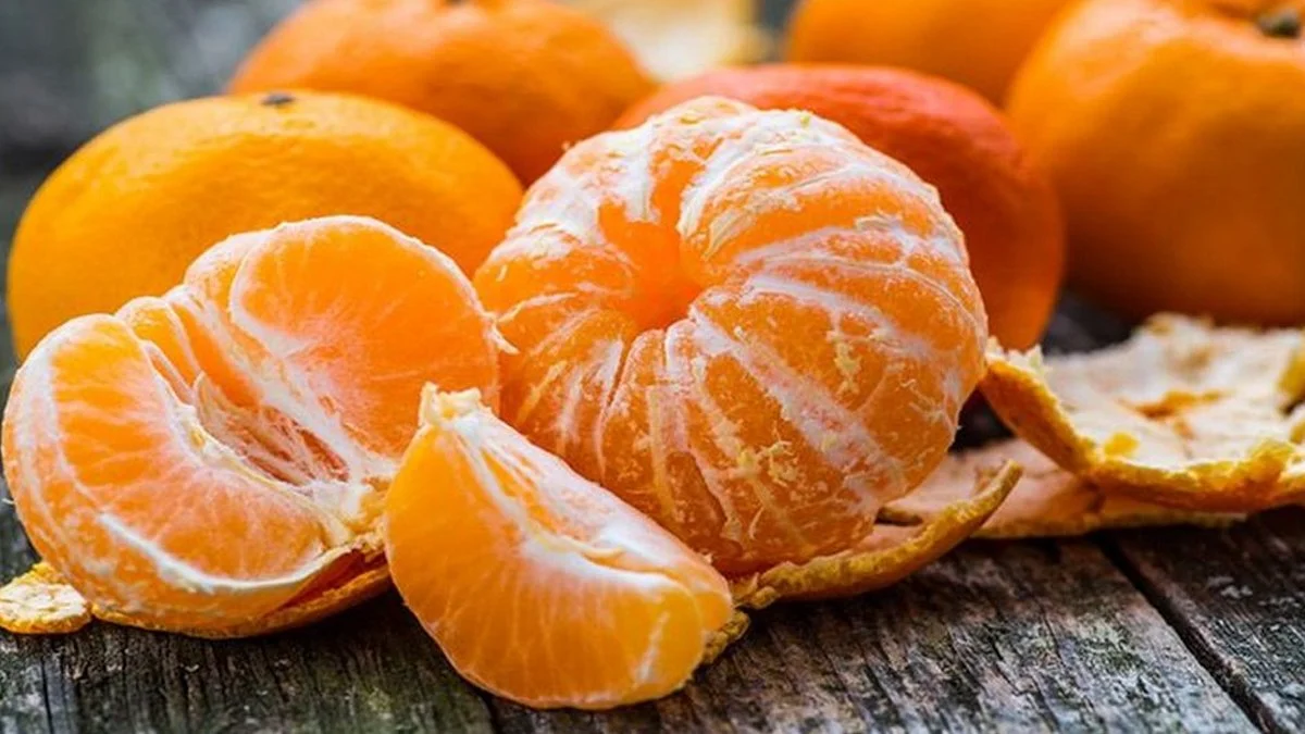 1488141.webp