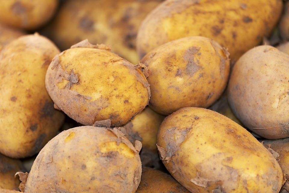 potato-3440360-960-720.jpg
