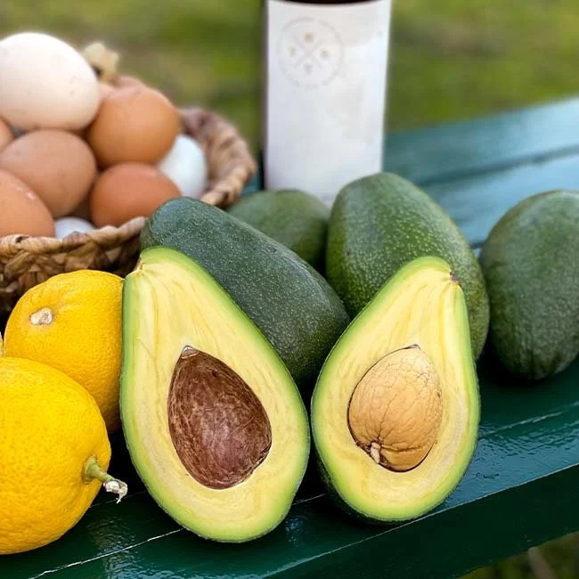 avokado.webp