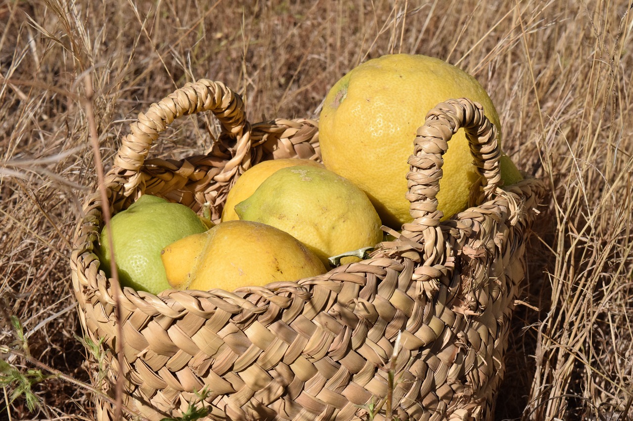lemons-1457719-1280.jpg