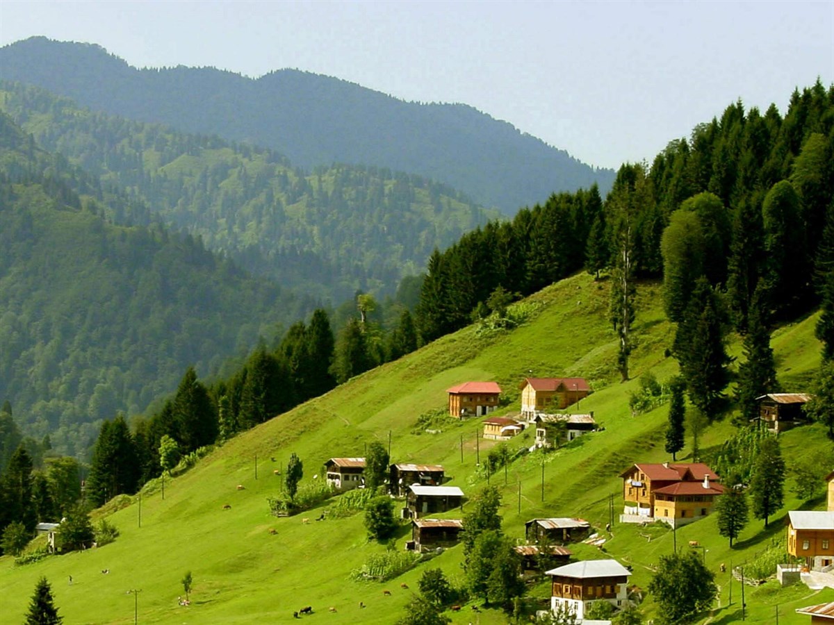 rize.jpg