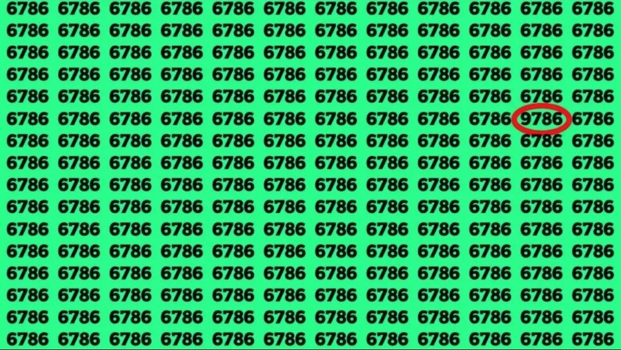 x2-xdb9.webp