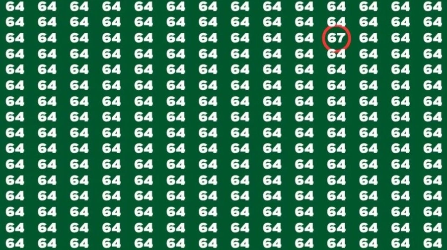 d2-6qic.webp