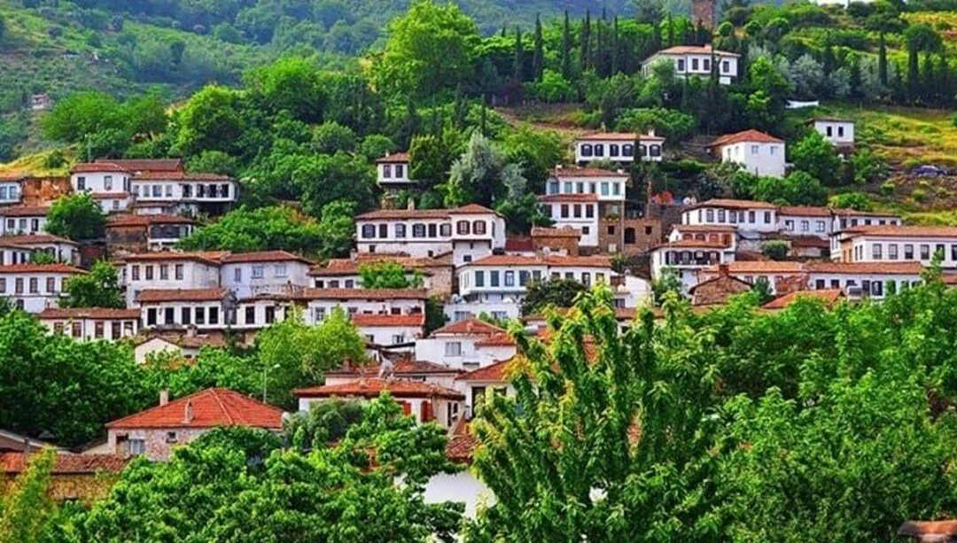 izmir-sirince-koyu.webp