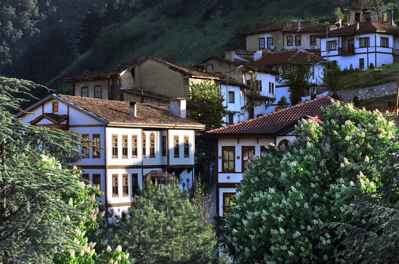 sakarya-tarakli-koyu.jpg