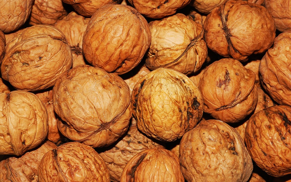 walnuts-101425-960-720.jpg