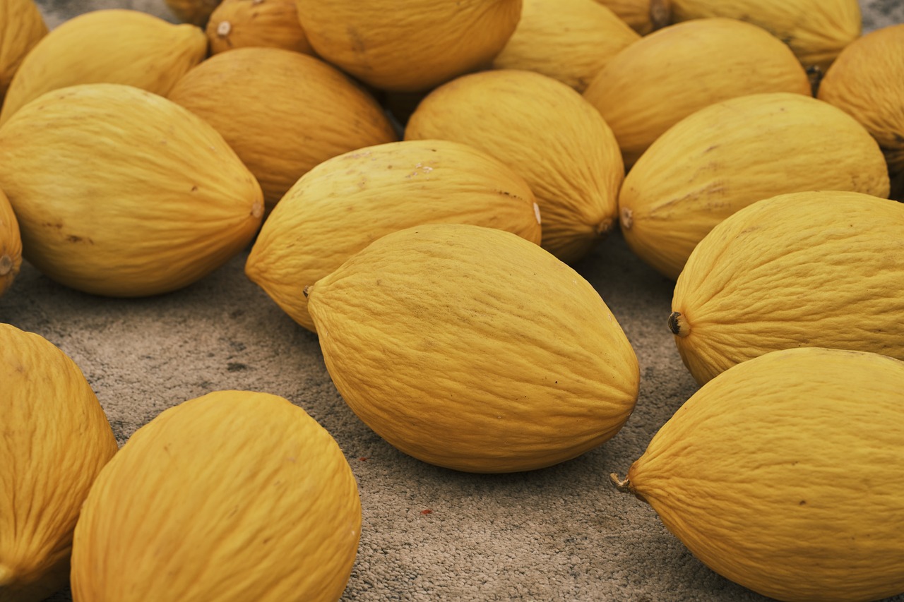 melons-6949139-1280.jpg