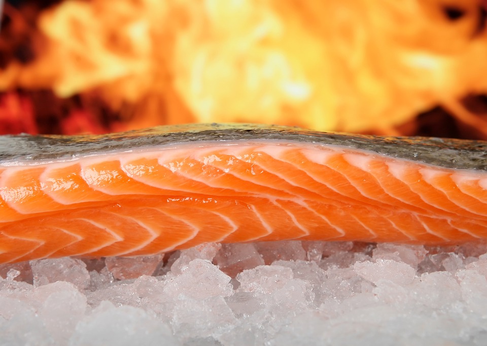 salmon-1238662-960-720.jpg