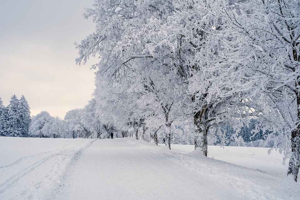 snow-7646952-960-720.jpg