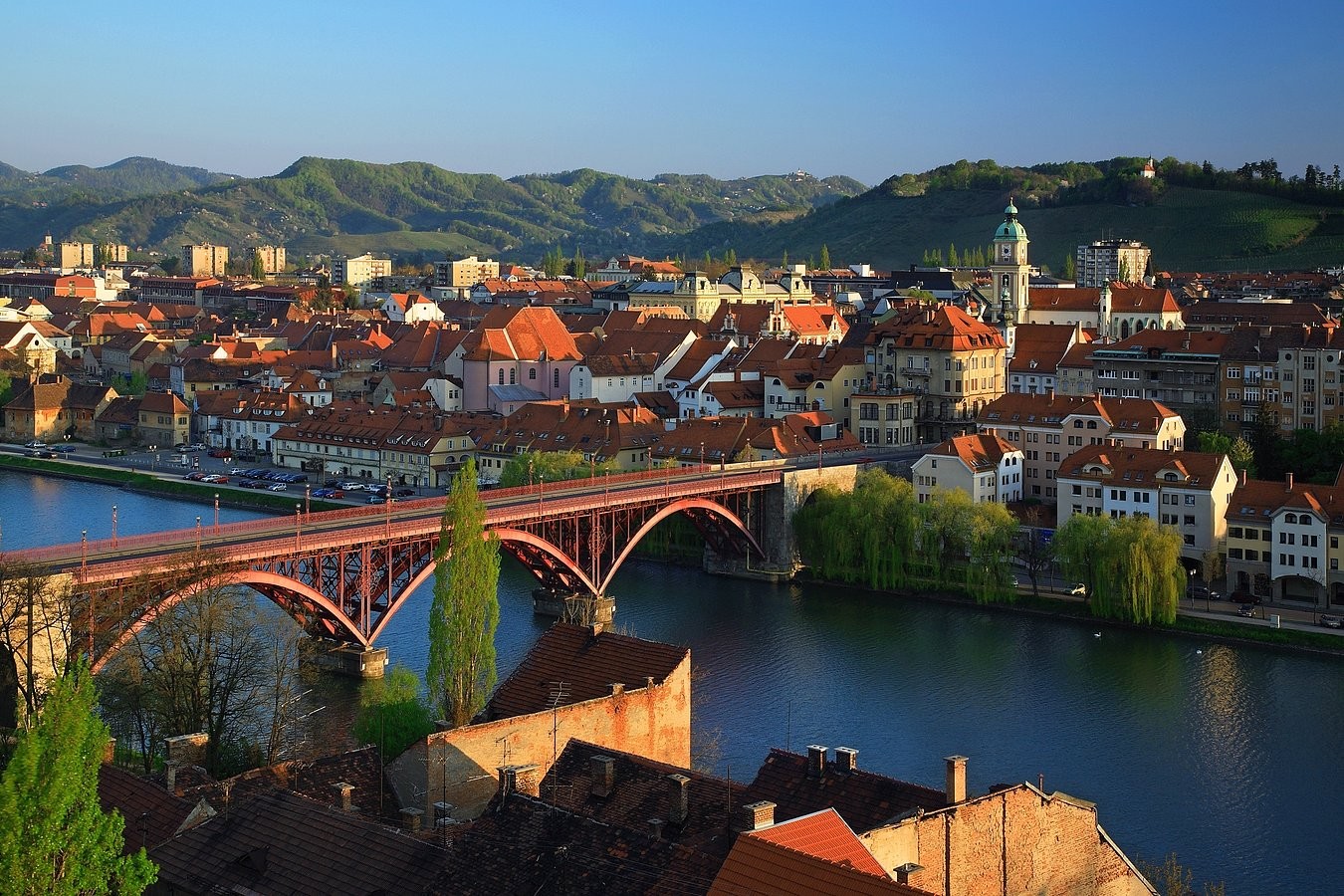 lukanin-maribor-slovenya-macerasi-f1719eca956f08e1112b593dc2cc3964.jpg