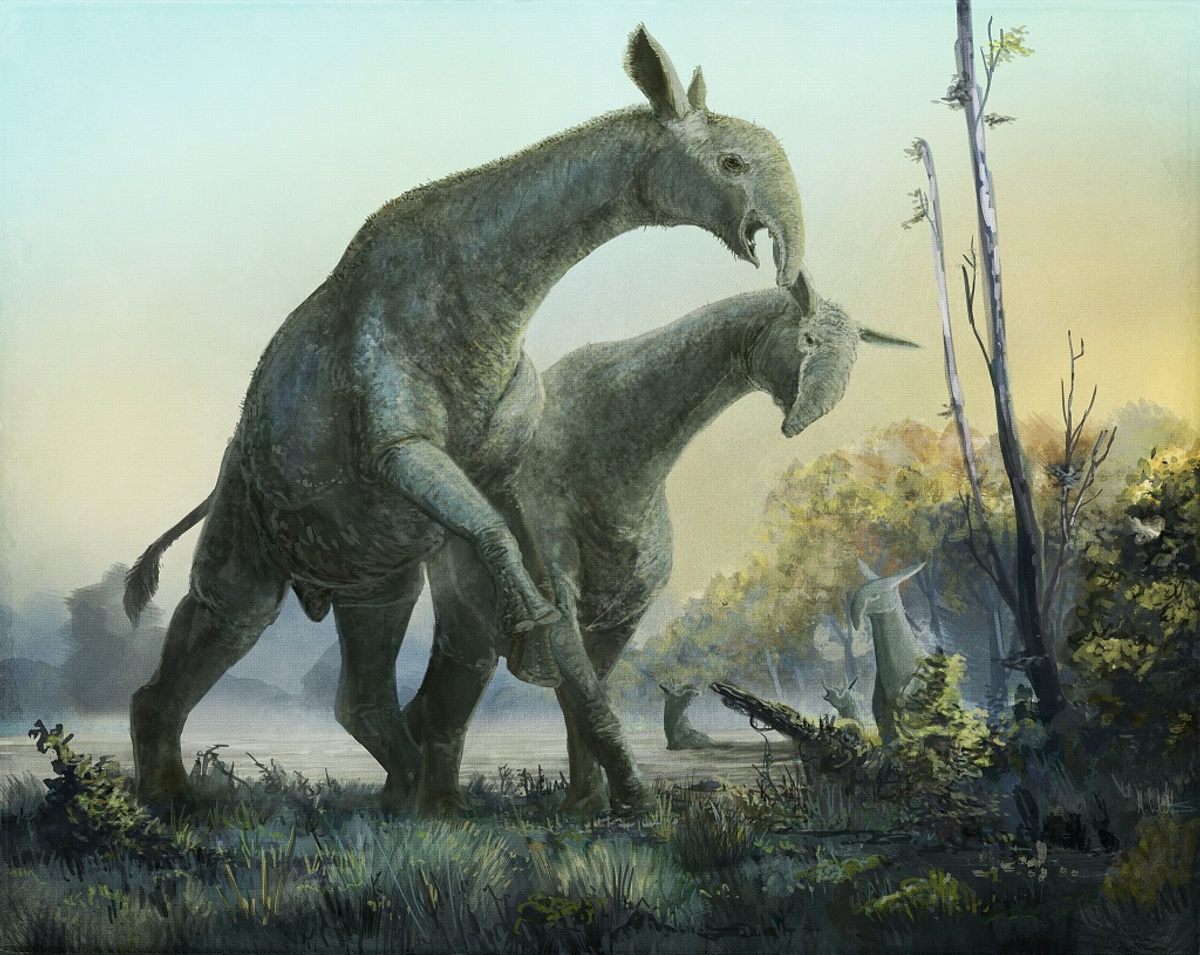 1a1a04cb-b45d-47a6-ba5d-67169ec0ead36f5c06cdc45a866008-mark-indricotherium.jpg