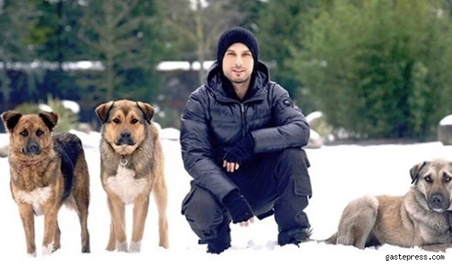 tarkan-belediyelere-seslendi-sokak-hayvanlarini-oldurmek-cozum-degil-6982.jpg