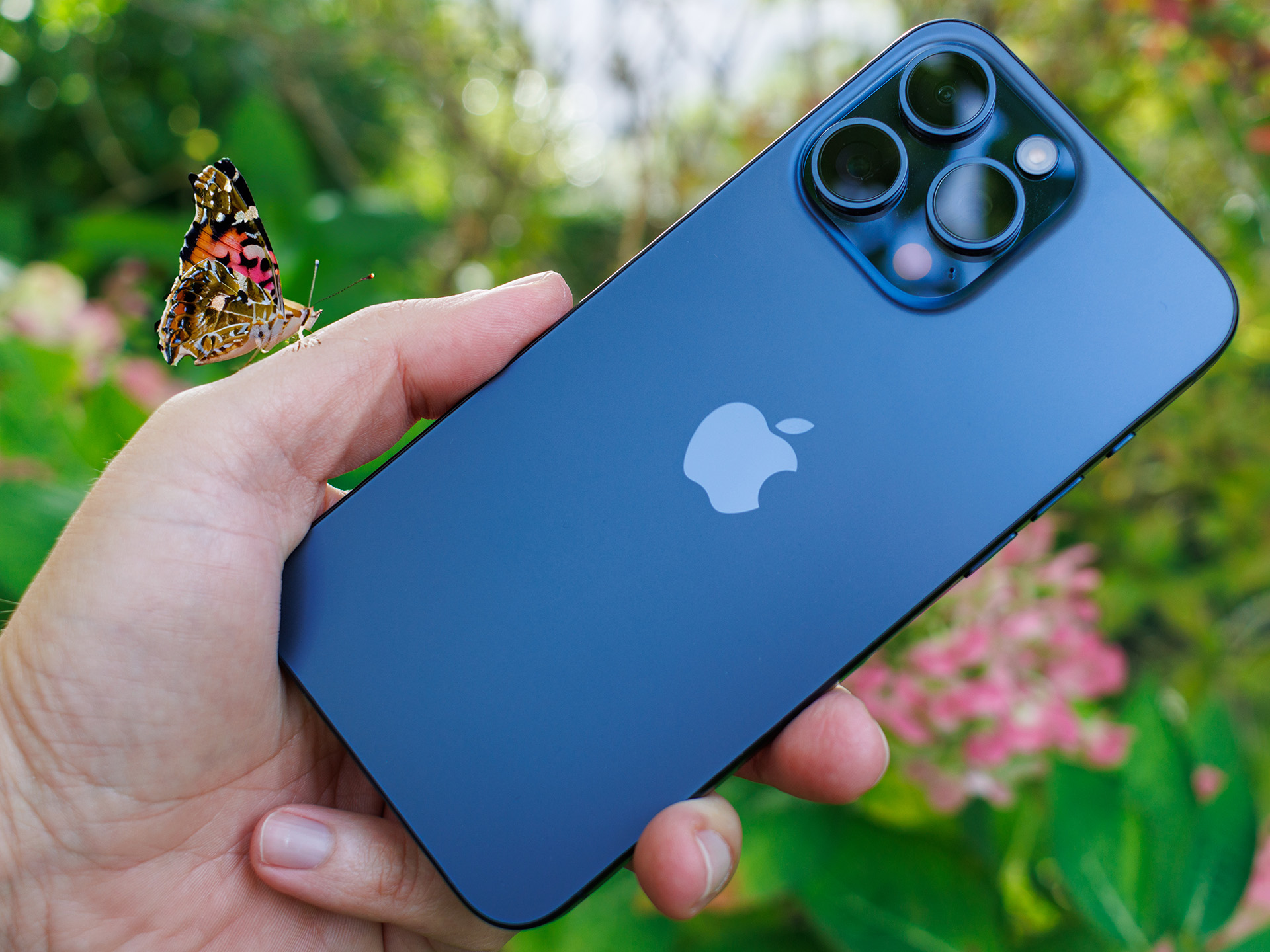 bild-apple-iphone-15-pro-max-6795.jpg