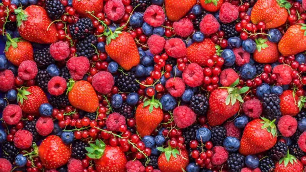 628f69d4e4bfdc02c4dd8c39.webp