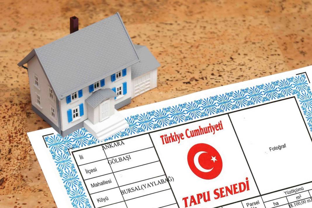 tapuda-yeni-donem-1.jpg