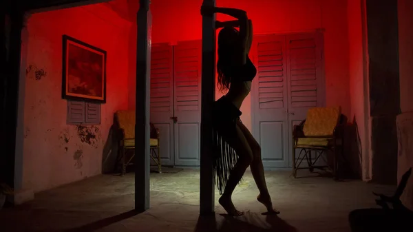 depositphotos-160082482-stock-photo-sexy-woman-silhouette-dancing-at.jpg