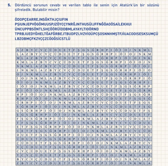 dbtbv.webp
