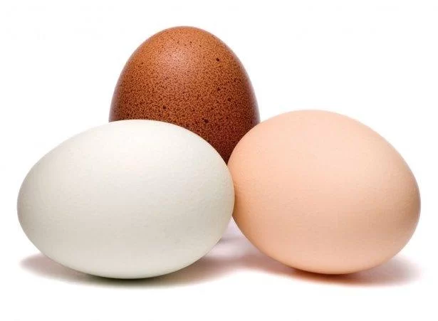kahverengi-beyaz-yumurta.webp